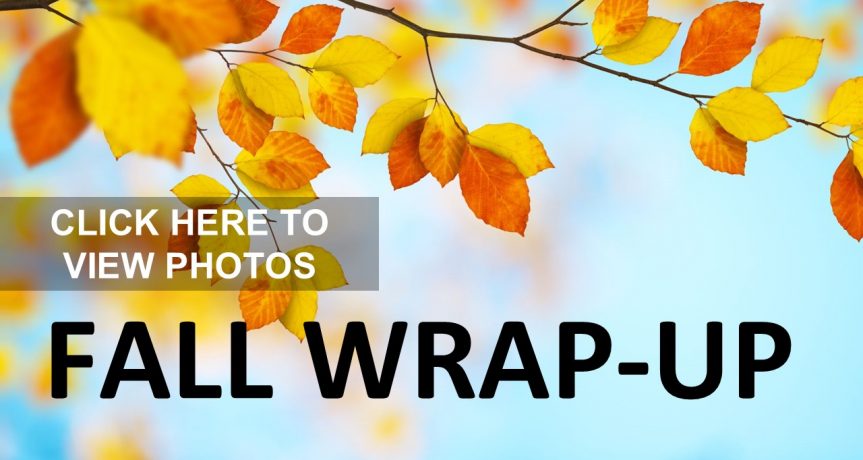 Fall Wrap-Up Photo Album